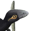 everypterosaur avatar