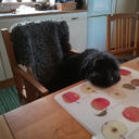 everythingelsefromkriss avatar