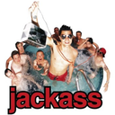 everythingjackassforyou-blog avatar