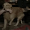 evilchildeyeeter avatar