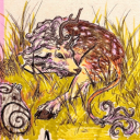 evilmoldywizard avatar