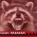 evilraccoonoffical avatar