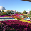 evolutionandrevolution avatar