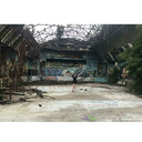 evolutionofbeauty-x avatar