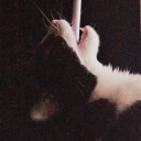 exactlyasitwas-blog avatar