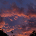 exactlyloudearthquake avatar