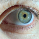 exasa-to-mualo-mou avatar