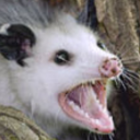 exaustedshadowscale avatar