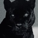 exclusivelyblack avatar