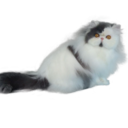 excusemabeaute avatar