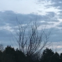 existential-fear avatar