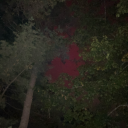 exoticas-world avatar