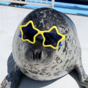 expiredgogurt avatar