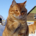 extrapedestrial avatar