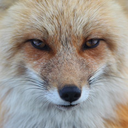 extremeinature avatar