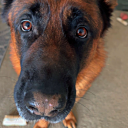 extremelycleverandunderwelming avatar