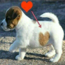 eyecandysposts avatar