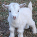 eyesfuil0fstars avatar