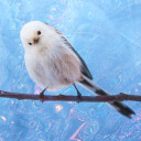 eyrieofsynapses avatar