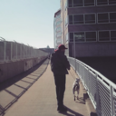 fabulousdisaster5 avatar