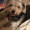 faceoffs-world avatar