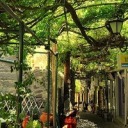 factsaboutqueers avatar