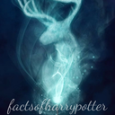 factsofharrypotter-blog avatar