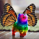 fading-dying-dreams avatar