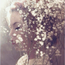 fae-wander-here avatar