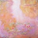 faeriedewdrops avatar