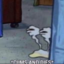 faggotraccoon avatar