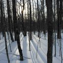 failingatthin avatar