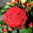 faith-love-hoope avatar