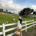 faithfullyhomemaking avatar