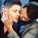 fallen-angel-bedfeathers avatar