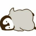 fallen-penguin avatar