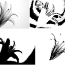 fallen-wolf22 avatar