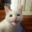 fallinlovewithangel avatar