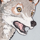 falseknees avatar