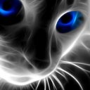 famouslycleverfortress avatar