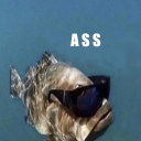 fanart-studio avatar