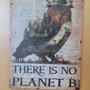 fancyparadisetale avatar