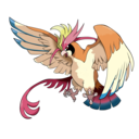 fancypidgeot avatar