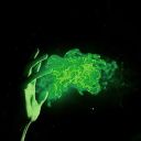 fandomspacesaver avatar