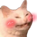 fandomtendencies avatar