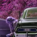 fanfic-from-a-67-impala avatar