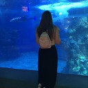 fangirlingeightdaysaweek avatar