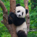 fangirlstare777 avatar