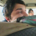 fangsforfags avatar
