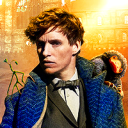 fantasticbeasts avatar